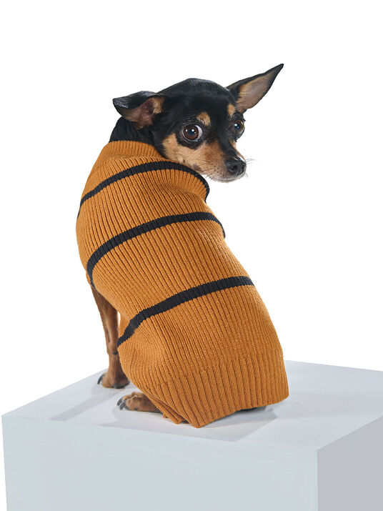 Su&eacute;ter para perro 87055, MIEL I, hi-res