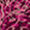 ANIMAL PRINT LXXXVI