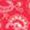 PAISLEY XXII