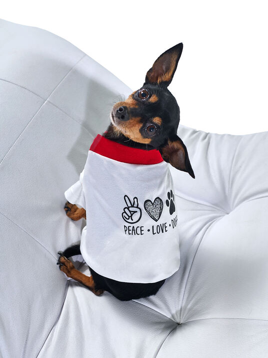 Playera para perro 81350