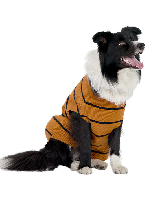 Su&eacute;ter para perro 87055, MIEL I, hi-res