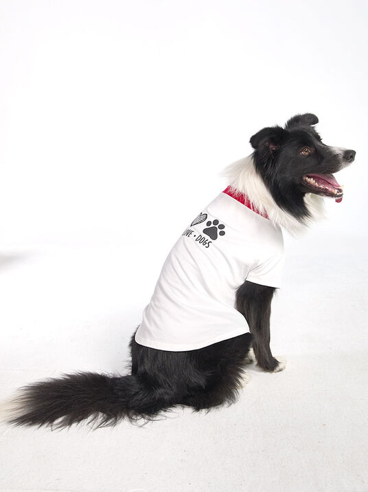 Playera para perro 81350, HUESO, hi-res