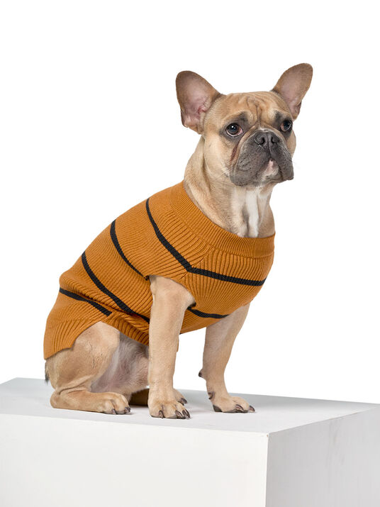 Su&eacute;ter para perro 87055