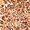 ANIMAL PRINT XLIX