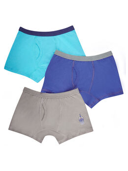 Paquete de 3 boxers 23884