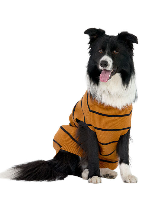 Su&eacute;ter para perro 87055