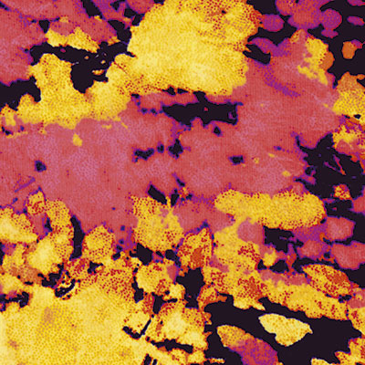 Traje de baño completo 75002, TIE AND DYE II, swatch