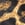 Body 81303, ANIMAL PRINT LXXXII, swatch