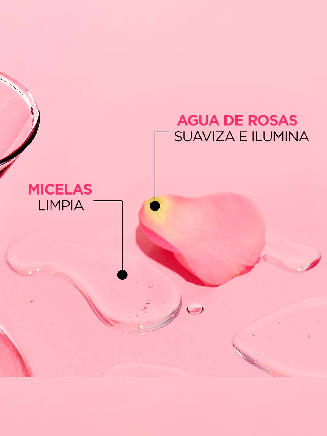 Garnier agua micelar agua de rosas  25015, ÚNICO, hi-res