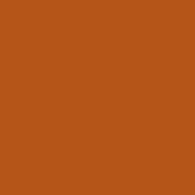 Chamarra 88031, CAMELLO, swatch