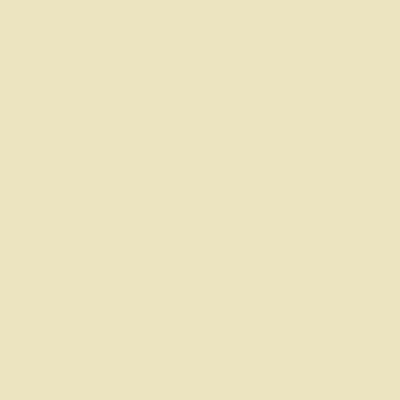 Paquete de 2 bras 24305, NUDE I, swatch