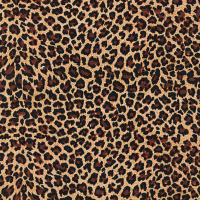 B&oacute;xer 1407, ANIMAL PRINT NUDE, swatch