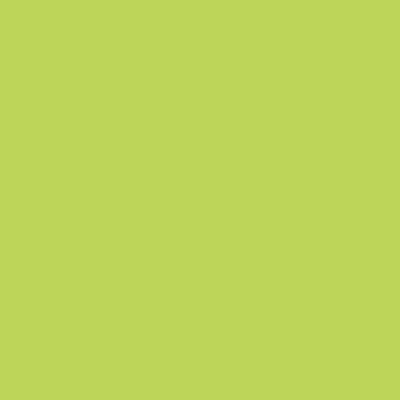 Papelillos matificantes 26049, TE VERDE, swatch
