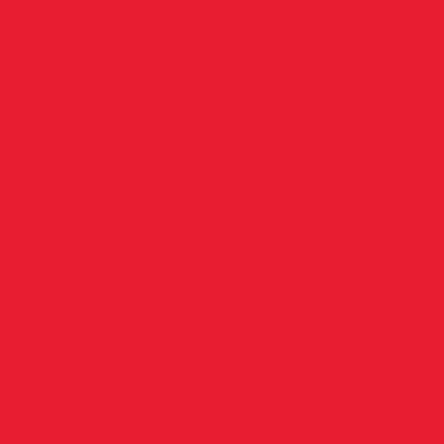 Renova labial matte infinity ink  20059, ROJO CEREZA, swatch